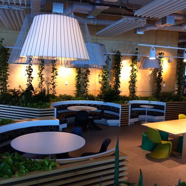 long hanging plants